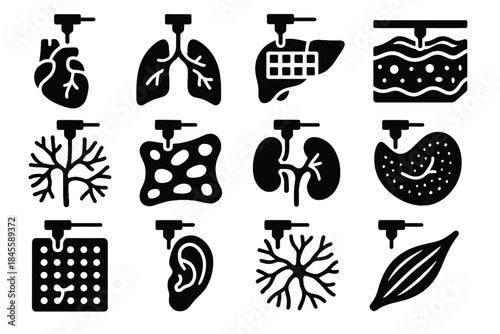 Layer fragment scaffold cartilage panel lobe organs bioprinted icon icons structure printed
