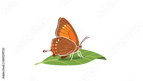 A beautiful brown and orange butterfly with delicate spotted wings gently perched on a vibrant green leaf, showcasing its natural beauty in detail.