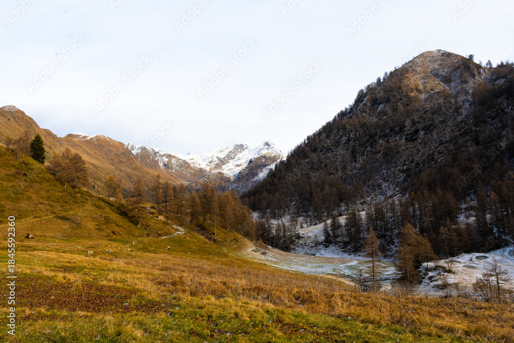 Naklejka premium mountain landscape in autumn