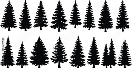Collection of evergreen tree silhouettes on white background