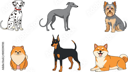 Cute dog breed character vector set with different puppy poses including dalmatian, greyhound, terrier, doberman and shiba inu illustration
