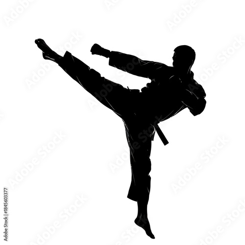 Powerful silhouette of martial artist executing a dynamic kick, embodying focus and discipline for fitness and self-defense concepts in action