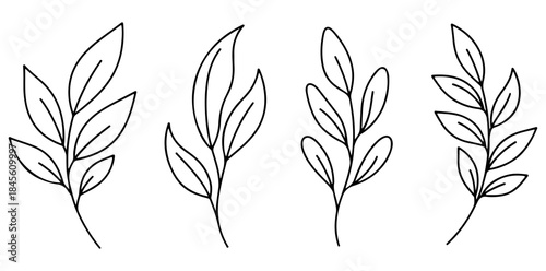 Botanical Branch Outlines Delicate line art of leaves and branches arranged in an aesthetically pleasing pattern. capturing the serenity and symmetry.