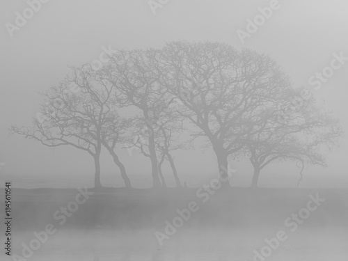 Trees in the mist along the River Hamble Hampshire England with reflections in the water