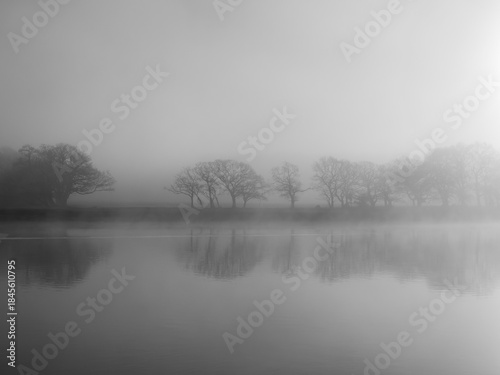 Trees in the mist along the River Hamble Hampshire England with reflections in the water