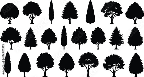 Set of black tree silhouettes, vector nature forest collection, isolated plants on white background, various deciduous and coniferous trees for landscape design