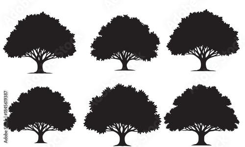 Six silhouettes of mature oak trees with dense foliage