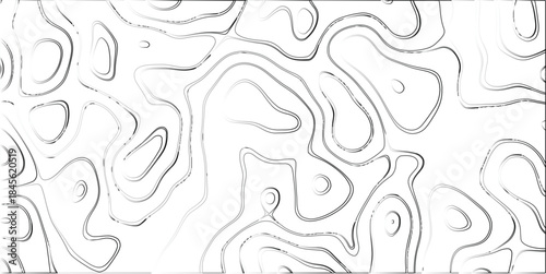 Organic Contour Lines on a White Background, Creating a Topographic Map-like Abstract Pattern with Subtle Grayscale Shading and a Modern Aesthetic for Design and Graphics