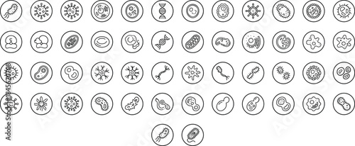 biology, microbiology, bacteria, virus, cell, organism, pathogen, science, medical, laboratory, research, genetics, dna, microscope, health, disease, infection, biologyicons, icons, vector