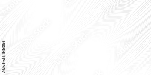 Vector wave digital white and gray gradient blend futuristic technology. flow tech transparent line stripe energy connection web music and sound. beautiful dynamic smooth space texture background.