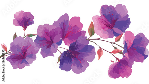 Botanical Illustration of Purple Flowering Plant with Outline