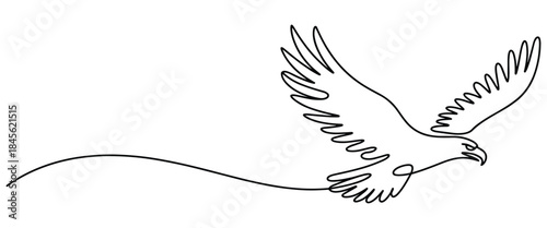 Flying eagle with outstretched wings and tail feathers