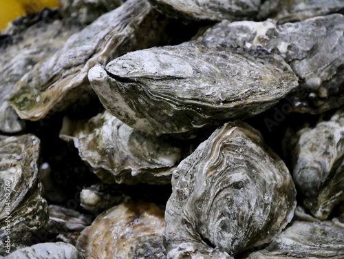 Fresh oysters at a French seafood market, traditional festive food , close up photo