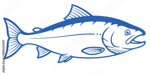 Simple Clean Blue Outlined Stylized Graphic Illustration of a Large Salmon Fish