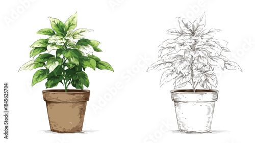 Green Leaves Potted Plant Photo with Picture Frame, Botanical Wall Art Concept