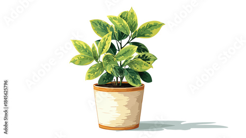 Modern Potted Plant with Green Leaves on Vector Background