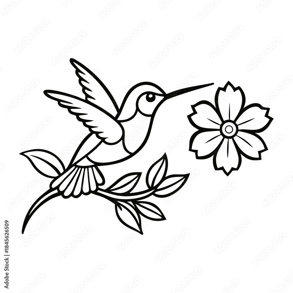 Obraz premium A delicate hummingbird hovers among blooming flowers, capturing nature’s charm in intricate lines, perfect for coloring and bringing this lively scene to life. 