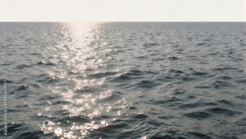 Fototapeta premium Sunlight glimmers on the rippling surface of a vast ocean.