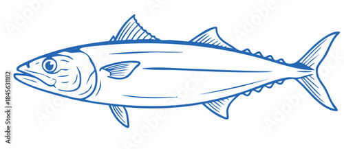 Monochromatic Blue Line Art Drawing of a Sleek Albacore Tuna Vector Icon Illustration