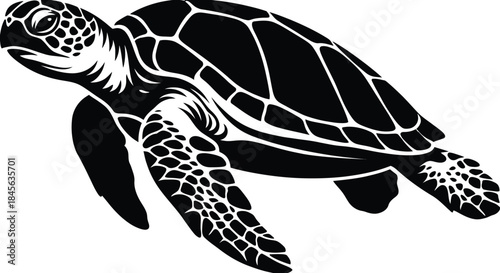 Sea Turtle Silhouette Vector | Black Swimming Marine Animal Illustration