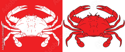 Two Styles of Detailed Red Crab Illustrations Monochromatic and Outlined Vector Graphic