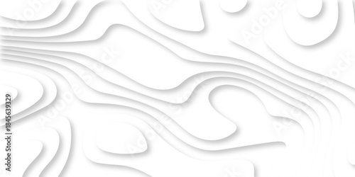 Abstract white papercut luxury diamond creative topography map background. vector natural shadow papercut web topography map spiral line texture.