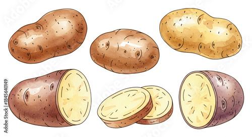 Fresh potatoes and sliced potatoes on white background
