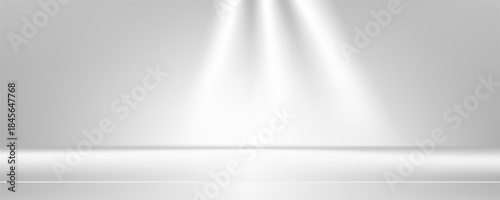Gray studio background or backdrop 3D room lightbox