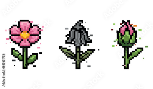 Pixel art trio of flowers depicting life cycles