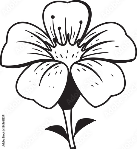 black and white flower