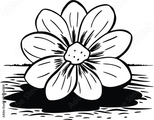 black and white flower