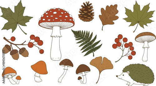 Hand-Drawn Autumn Forest Elements Vector Collection Featuring Fly Agaric Mushroom, Maple Leaves, Berries, Pine Cone, and Cute Hedgehog Character