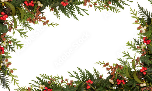 PNG image of Festive christmas border design featuring evergreen foliage holly berries mistletoe and cedar branches framing a space on transparent background with copyspace