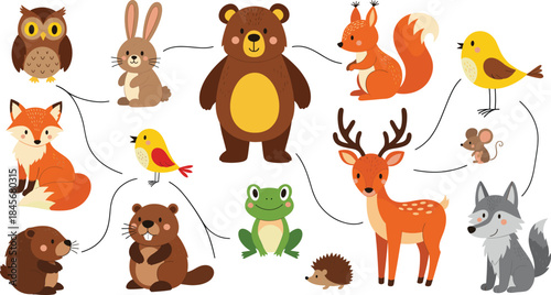 ACute Cartoon Forest Animals Vector Collection with Owl, Bear, Rabbit, Deer, Fox, and Squirrel Connected by Lines for Kids' Educational Designs