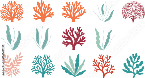Colorful Underwater Seaweed and Coral Vector Collection in Flat Design Style, Including Kelp, Sea Anemone, and Marine Plants for Ocean Life Design