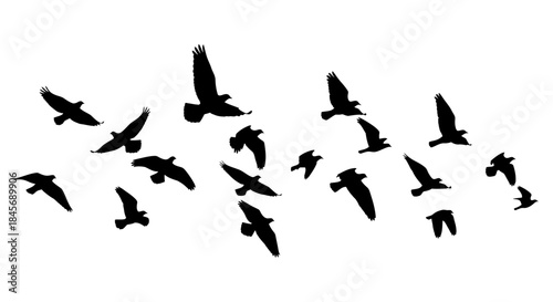 A flock of black birds in flight forming a V shape against a plain white background with a minimalist silhouette composition.