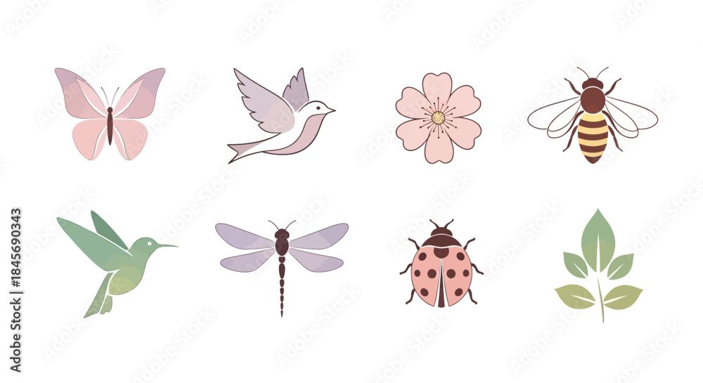 Fototapeta premium A colorful illustration set of various insects and flowers on a white background with green leaves and a hummingbird in flight.