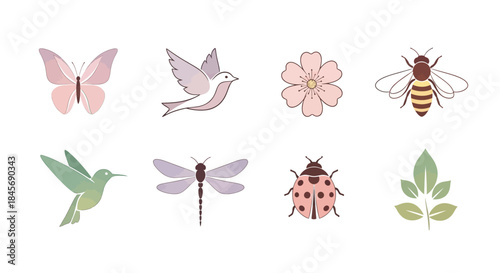 A colorful illustration set of various insects and flowers on a white background with green leaves and a hummingbird in flight.
