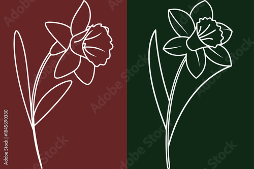 Elegant Daffodil Floral Line Art, Botanical Illustration, Spring Blossom Design Elements
