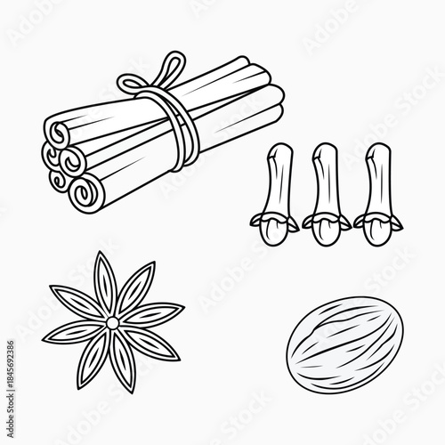 Hand Drawn Spice Set Line Art Illustration – Cinnamon, Cloves, Star Anise and Nutmeg Outline Vector