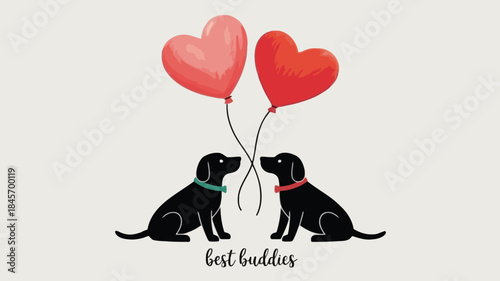 Two black dogs wearing colored collars sitting and looking at each other with red heart shaped balloons