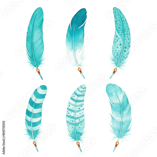 Collection of six teal colored feathers with various patterns on white background