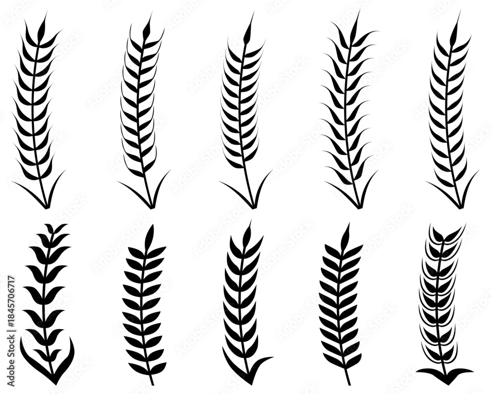 Naklejka premium Wheat Ear Silhouette Set