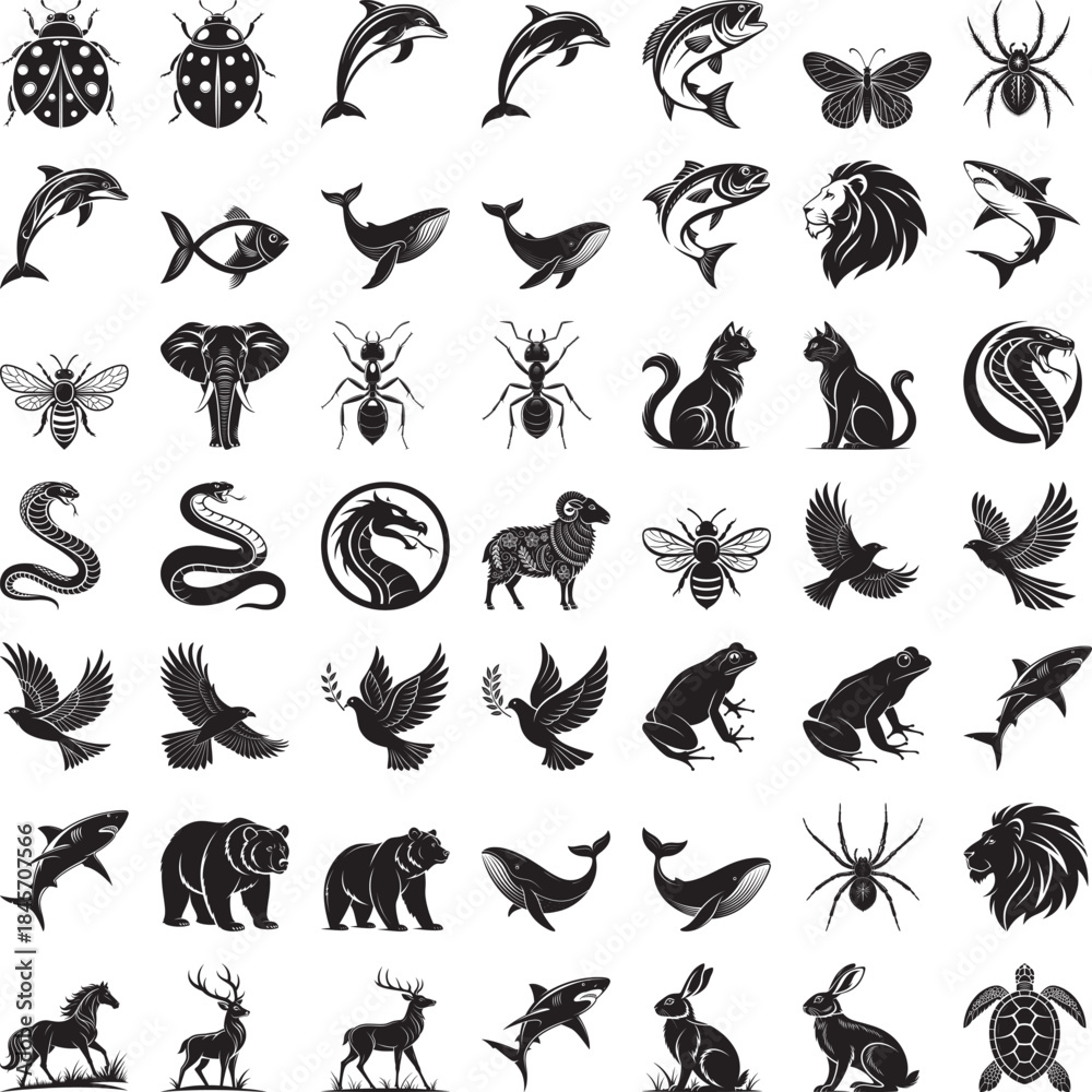 Fototapeta premium 49 Set Black and white of various animals and insects in different poses animal insect black and white wildlife