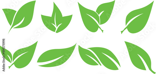 green leaves vector illustration