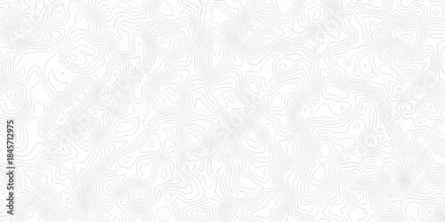 Minimal vector topo paper lines Topographic contour lines grid map seamless pattern. Geographic mountain relief. paper lines background.