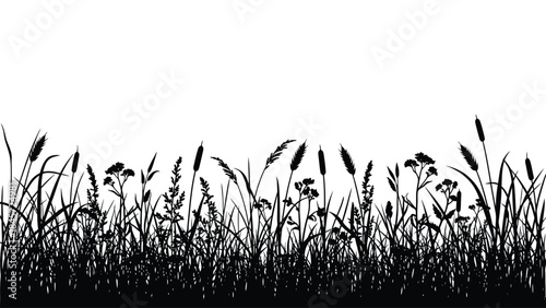 Black silhouette border of diverse wild grass and field plants against a clean white background