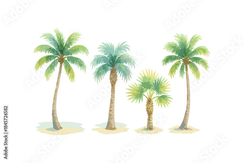 Watercolor palm trees illustration with tropical foliage on white background