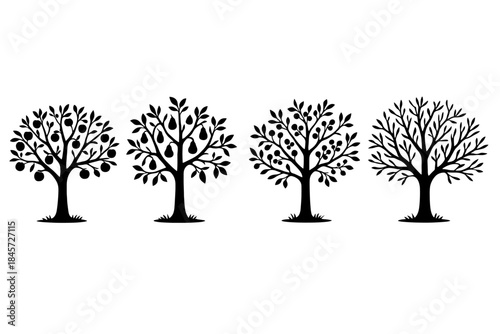 Silhouette of trees showing seasonal changes with fruits and leaves