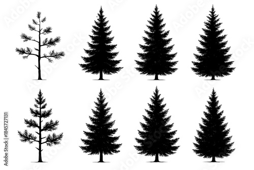 Collection of eight evergreen tree silhouettes on white background